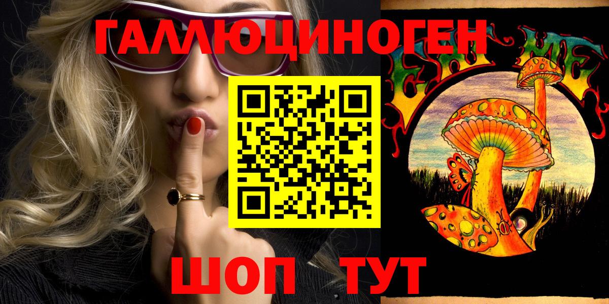 Галлюциногенные грибы Psilocybe Рославль