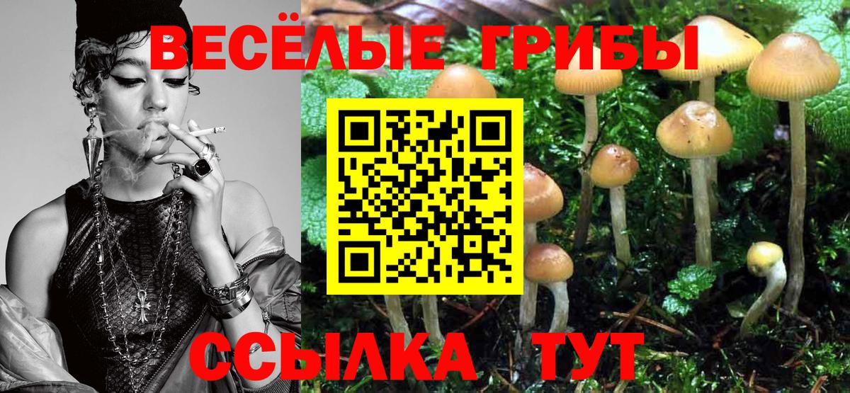 Галлюциногенные грибы мицелий  Вход с VPN  Рославль 